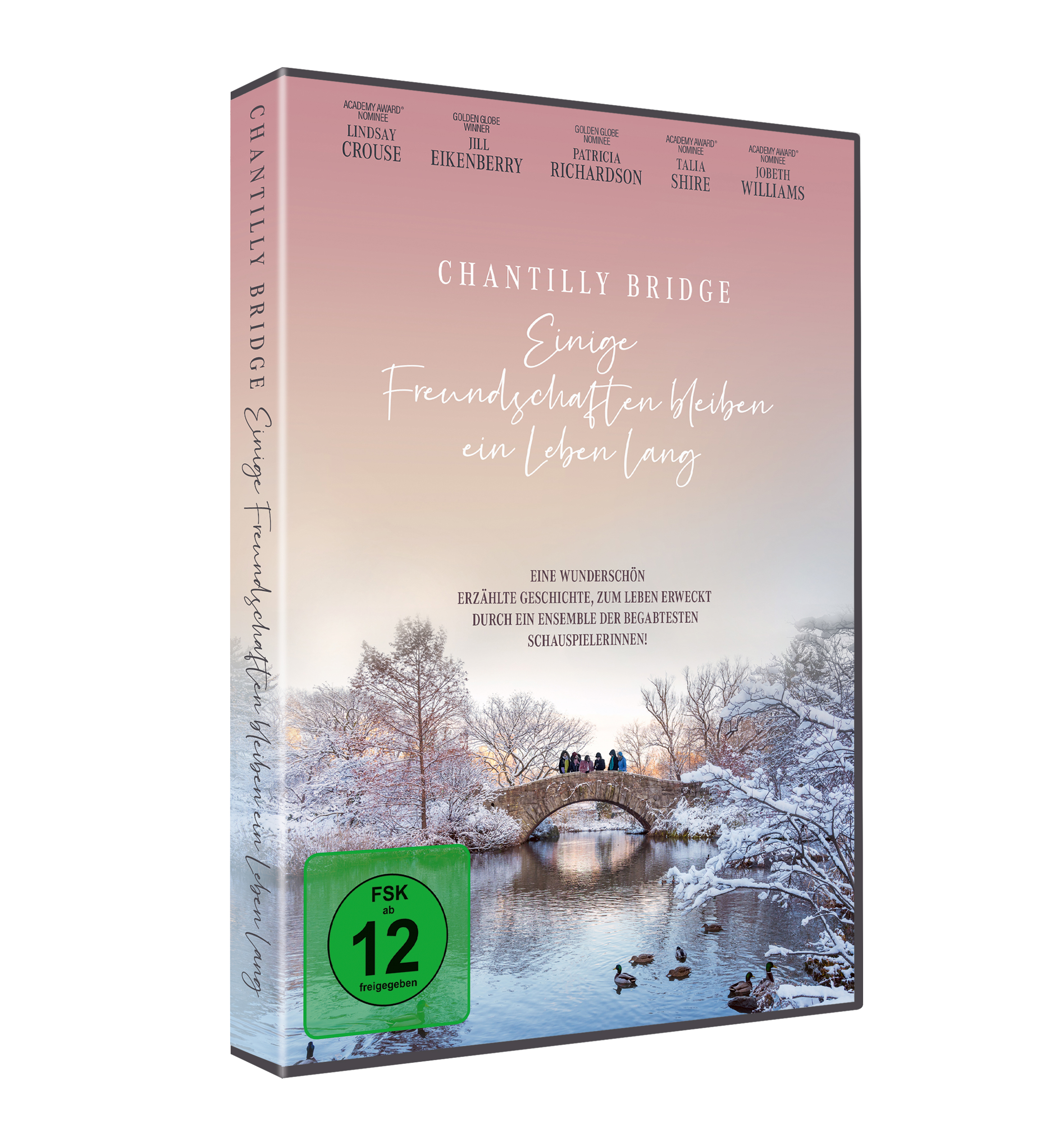 Chantilly Bridge - Einige Freundschaften bleiben ein Leben lang (DVD) Chantilly Bridge - Einige Freundschaften bleiben ein Leben lang (DVD)