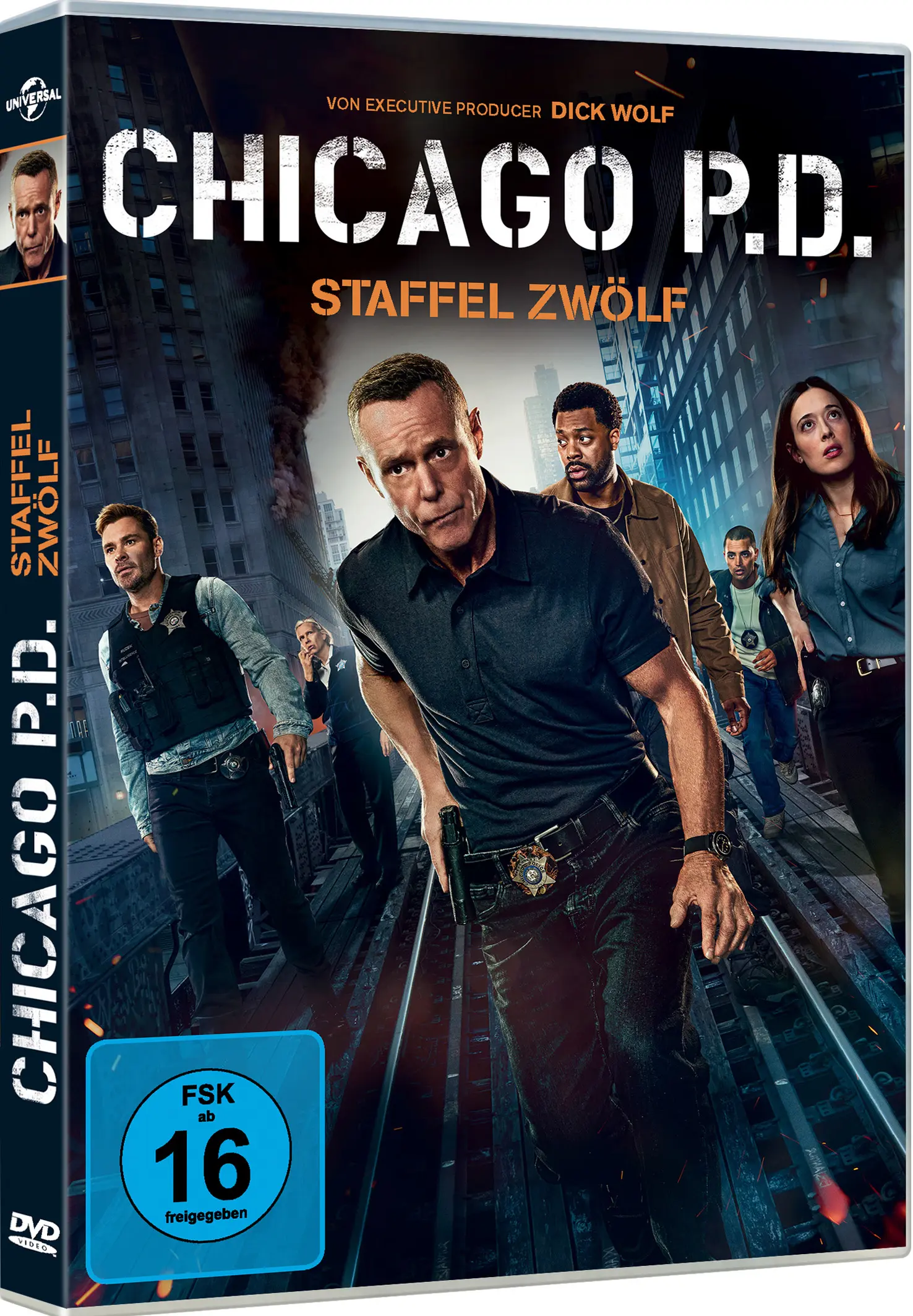 Chicago P.D.: Staffel 12 (5 DVDs)