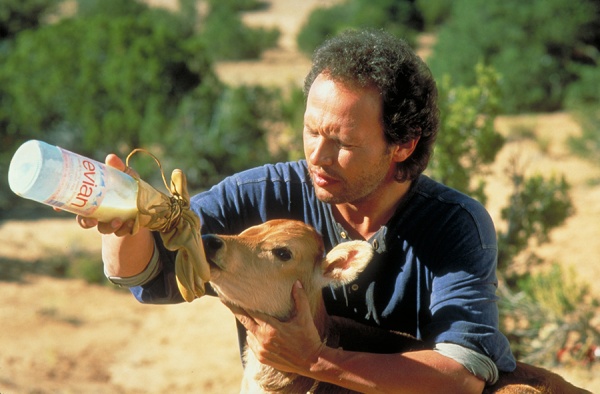 City Slickers - Special Edition (Blu-ray) Image 5