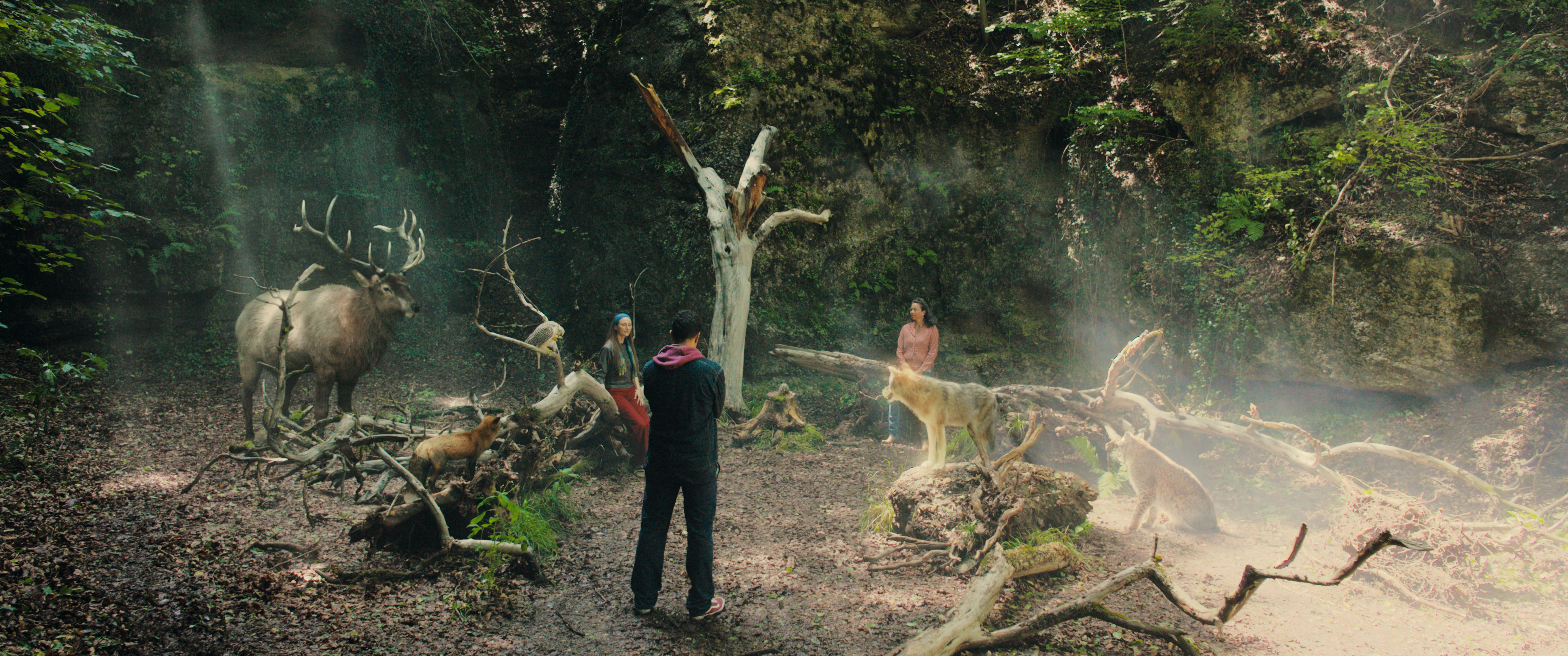 Woodwalkers (Blu-ray) Image 6