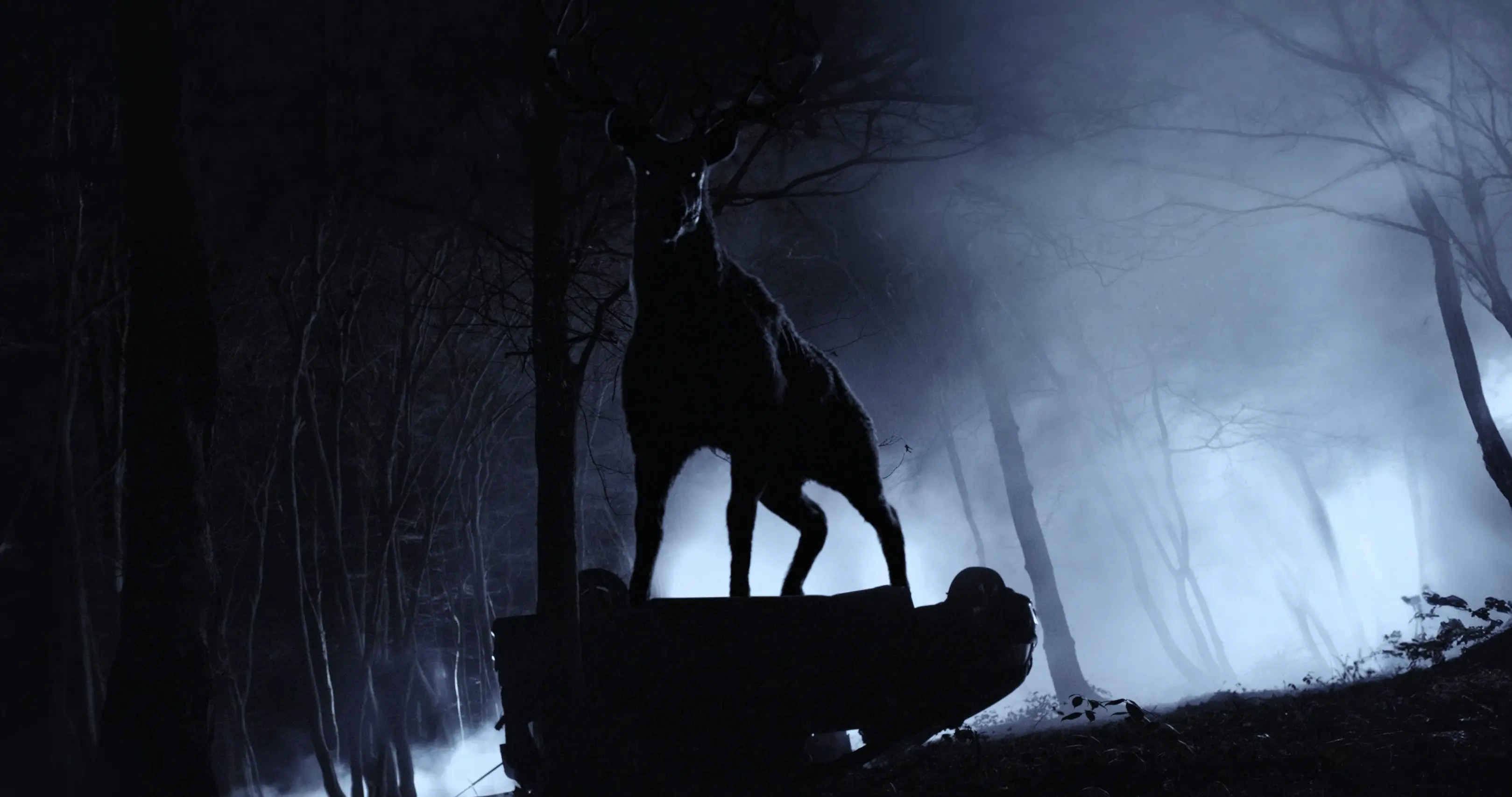 Bambi: The Reckoning (DVD) Bambi: The Reckoning (DVD)
