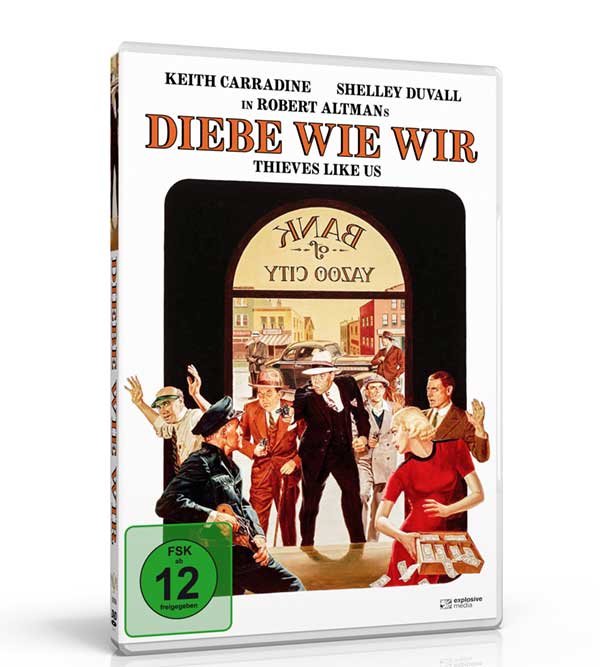 Diebe wie wir (DVD) Diebe wie wir (DVD)
