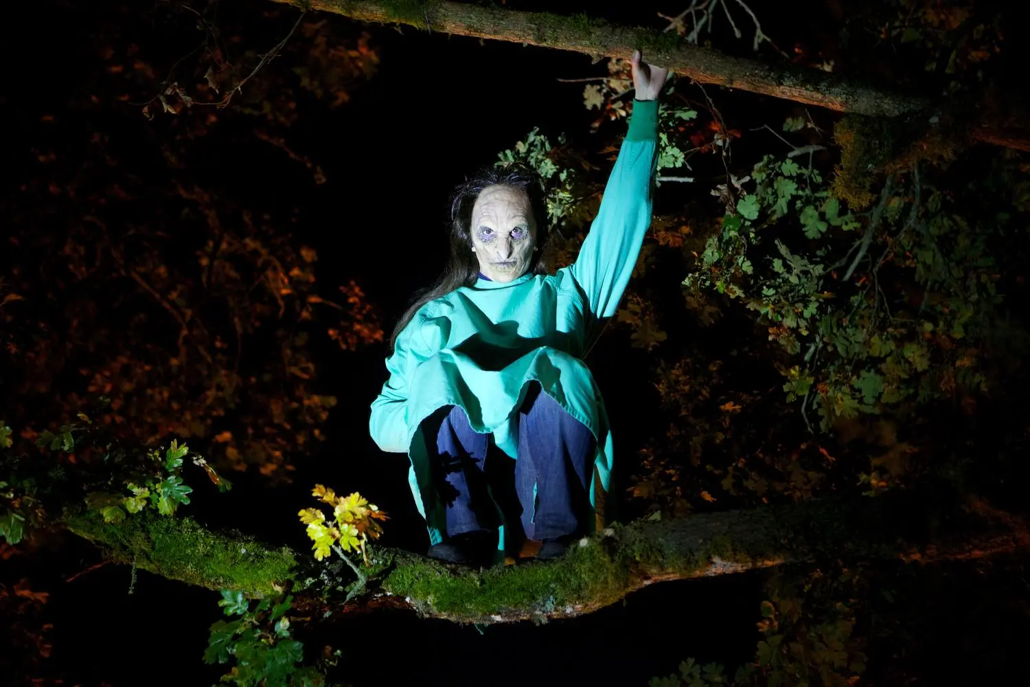 Grimm: Die komplette Serie (DVD)