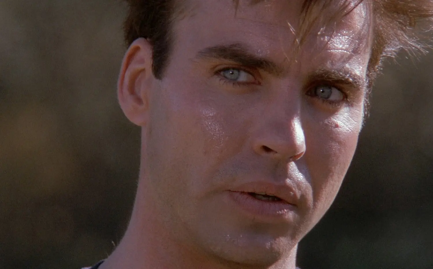 Blue Heat (DVD)