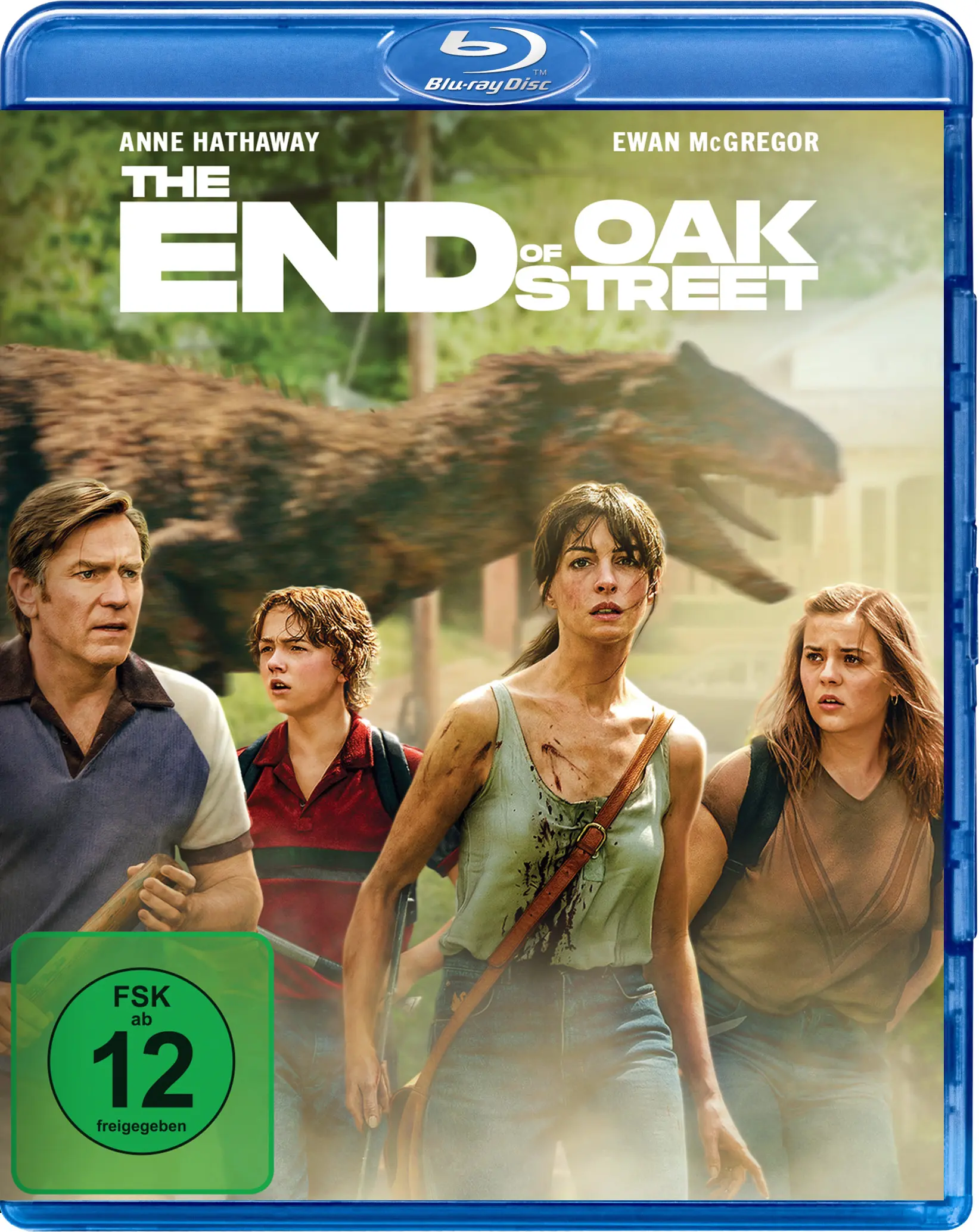 Blu-ray, Actionfilm, Film-Disk, Blaue Hülle, The End of Oak Street