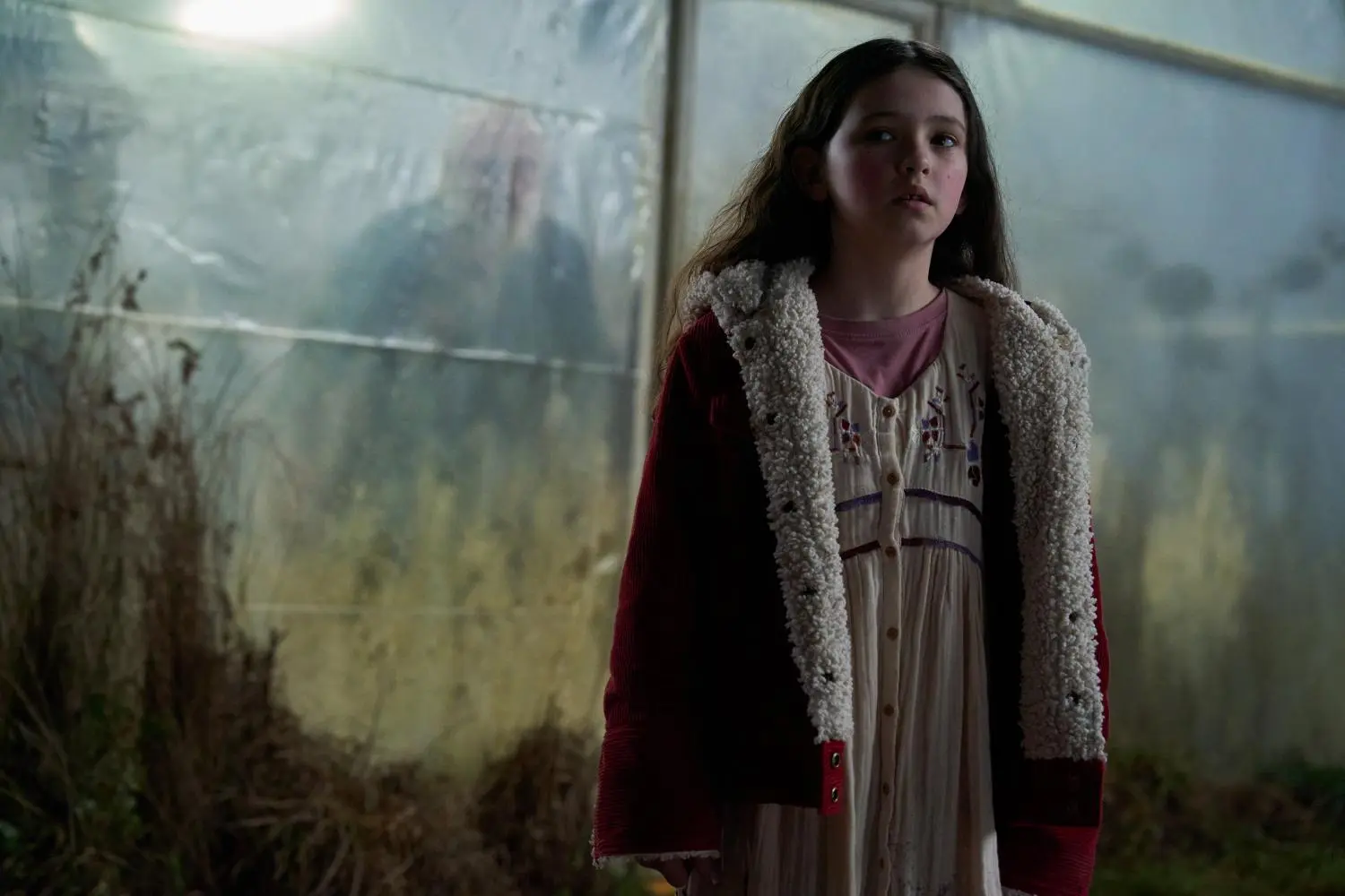 Wolf Man (2025) (4K-UHD)