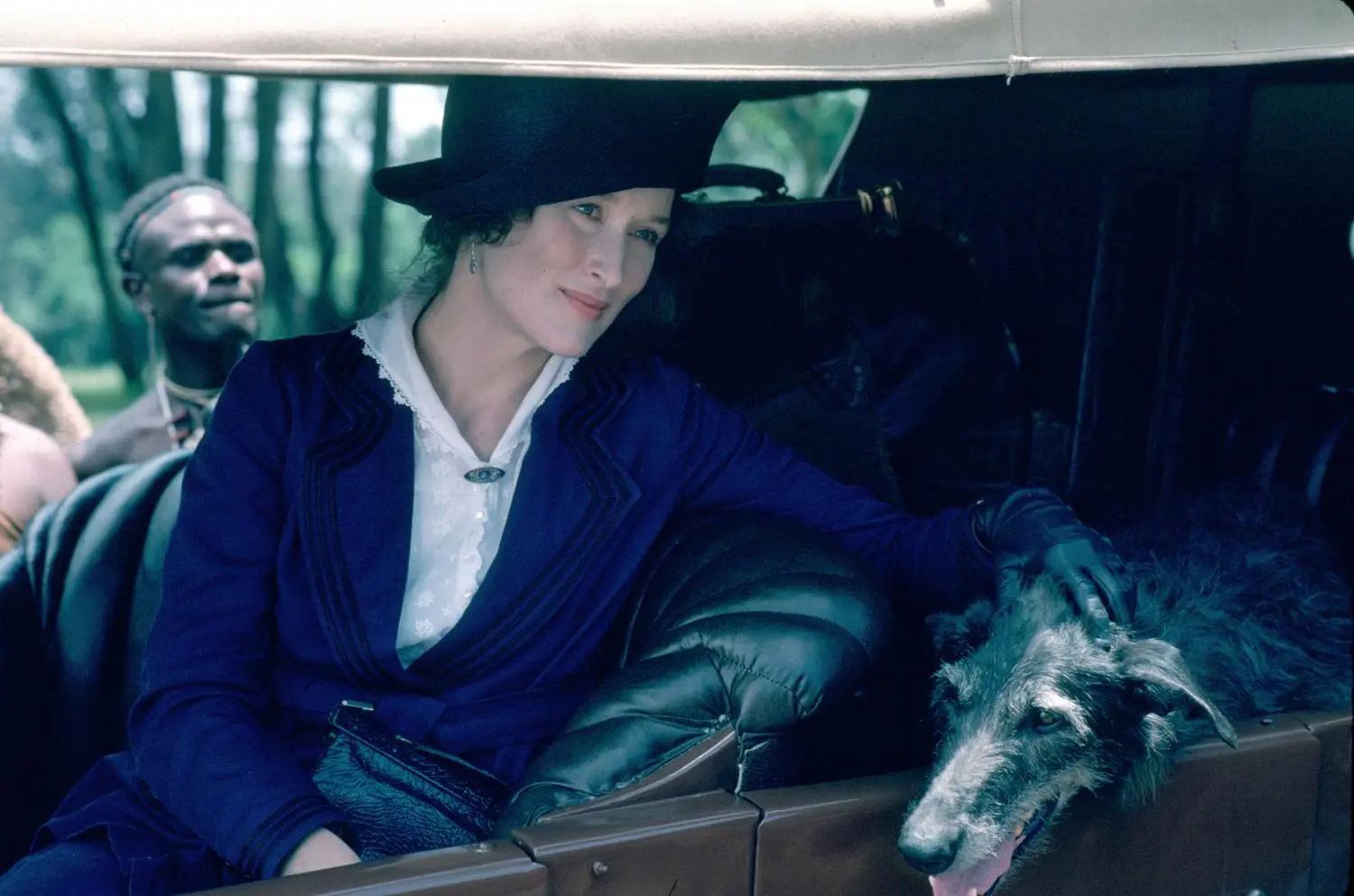 Jenseits von Afrika (DVD)