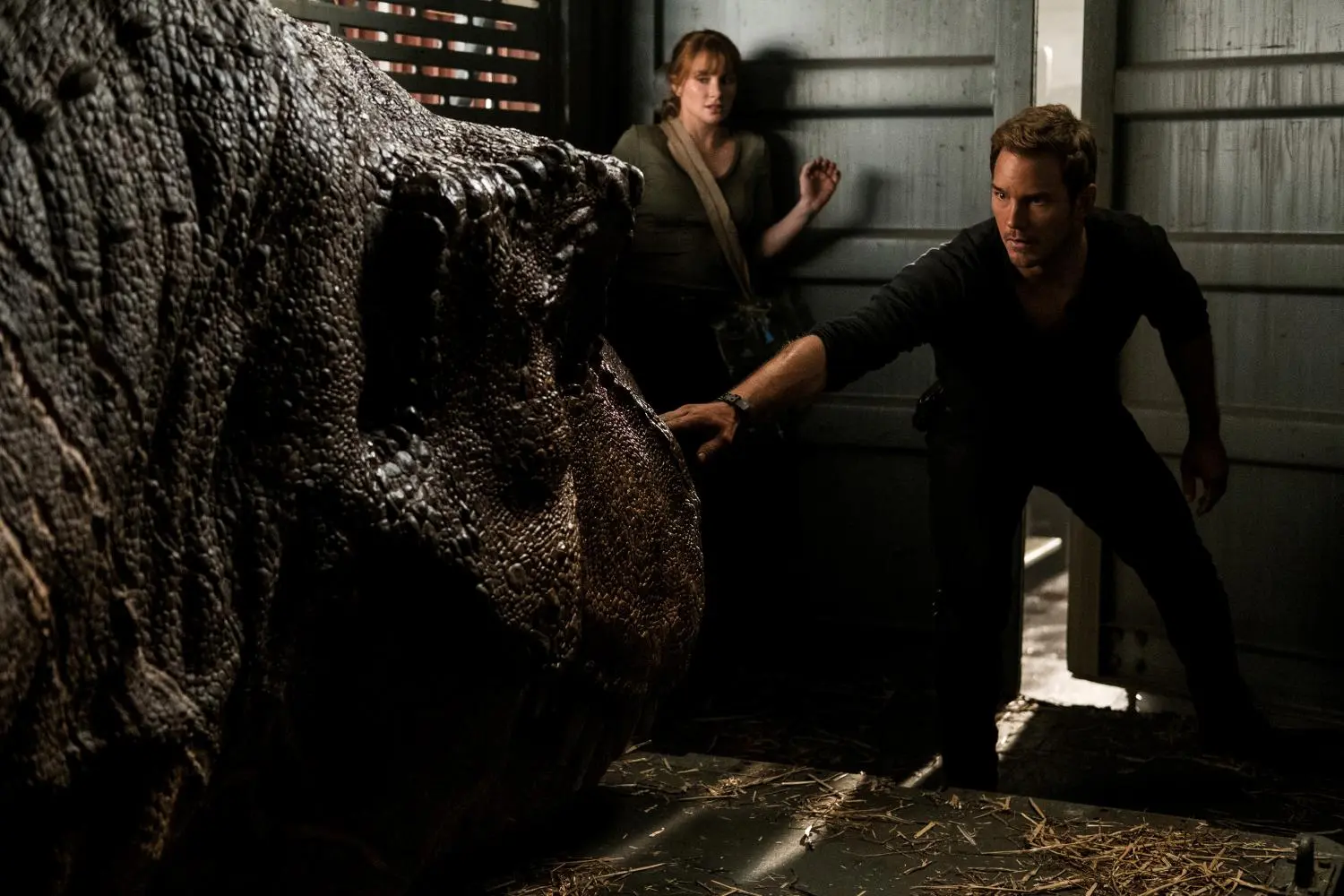 Jurassic World: Das gefallene Königreich (DVD)