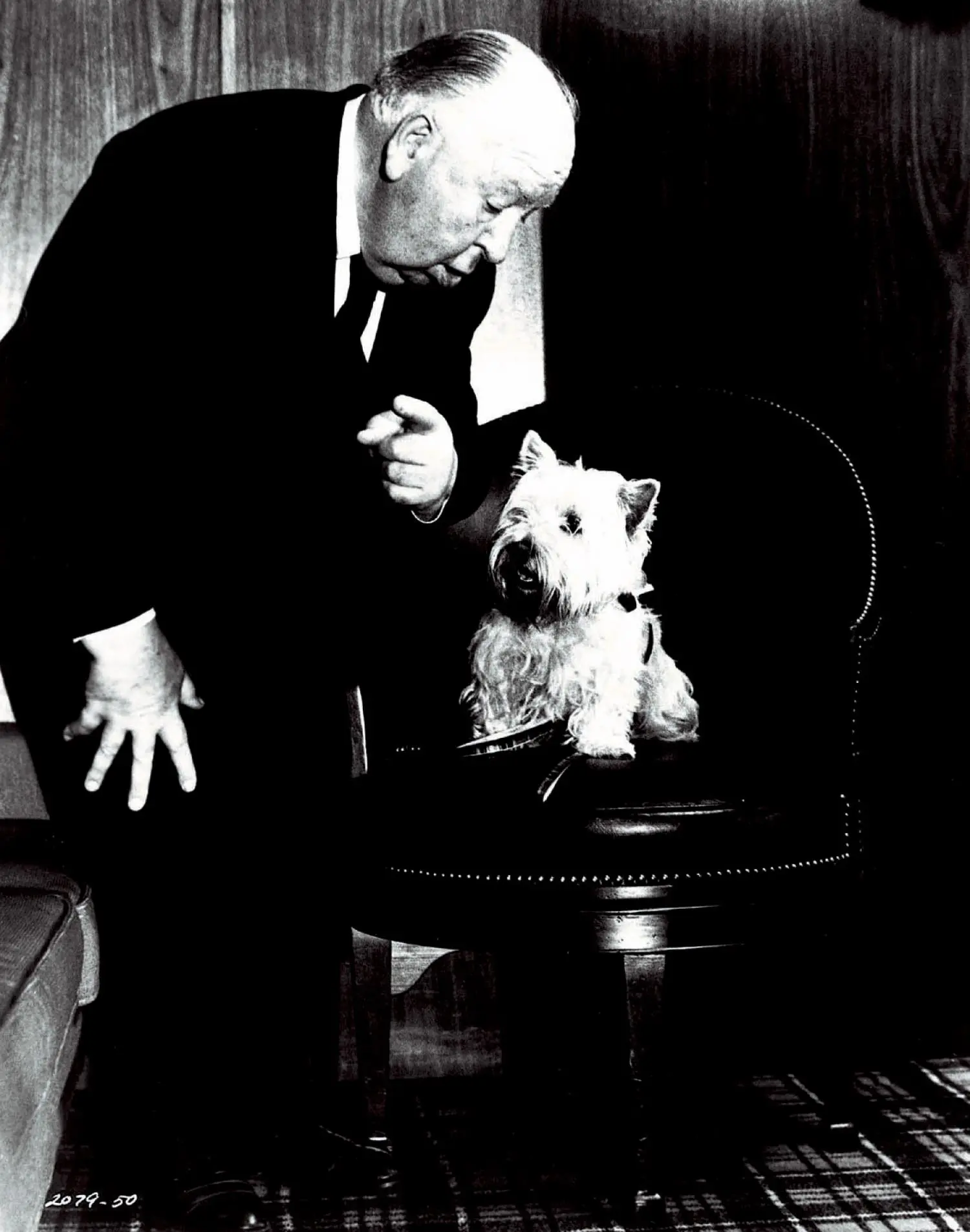 Das Fenster zum Hof - Alfred Hitchcock Collection (DVD)