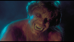 The Howling - Das Tier - Limited Steelbook Edition (4K Ultra HD+Blu-ray) The Howling - Das Tier - Limited Steelbook Edition (4K Ultra HD+Blu-ray)