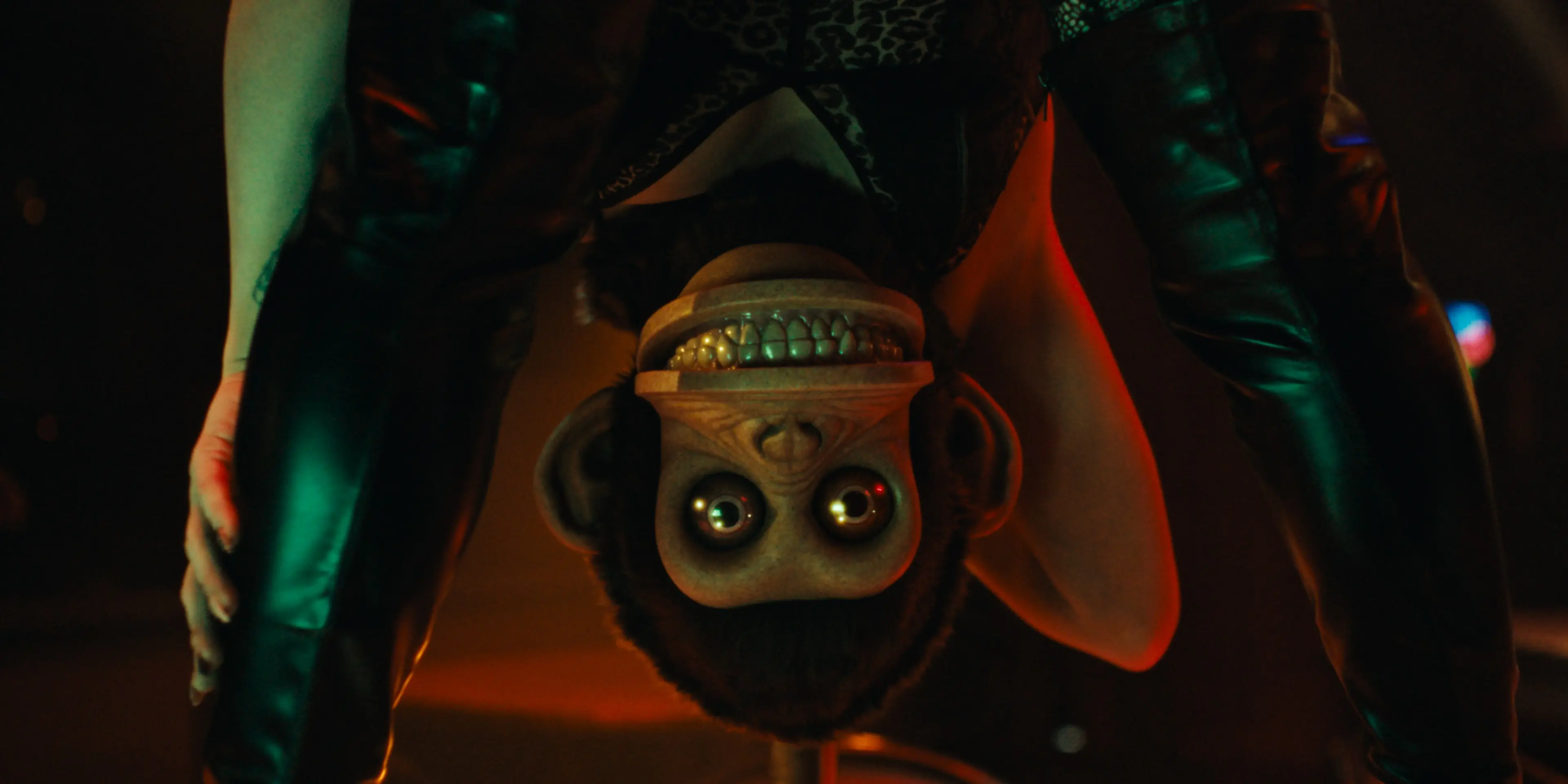 The Monkey (DVD) The Monkey (DVD)