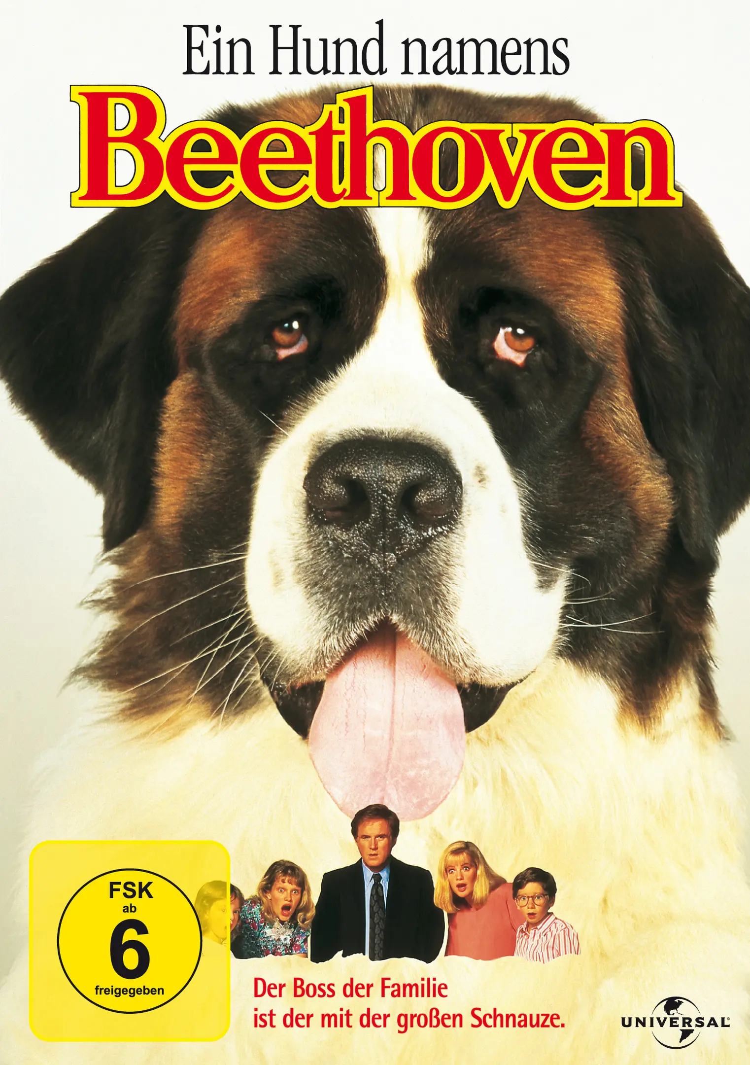 Ein Hund namens Beethoven (DVD)