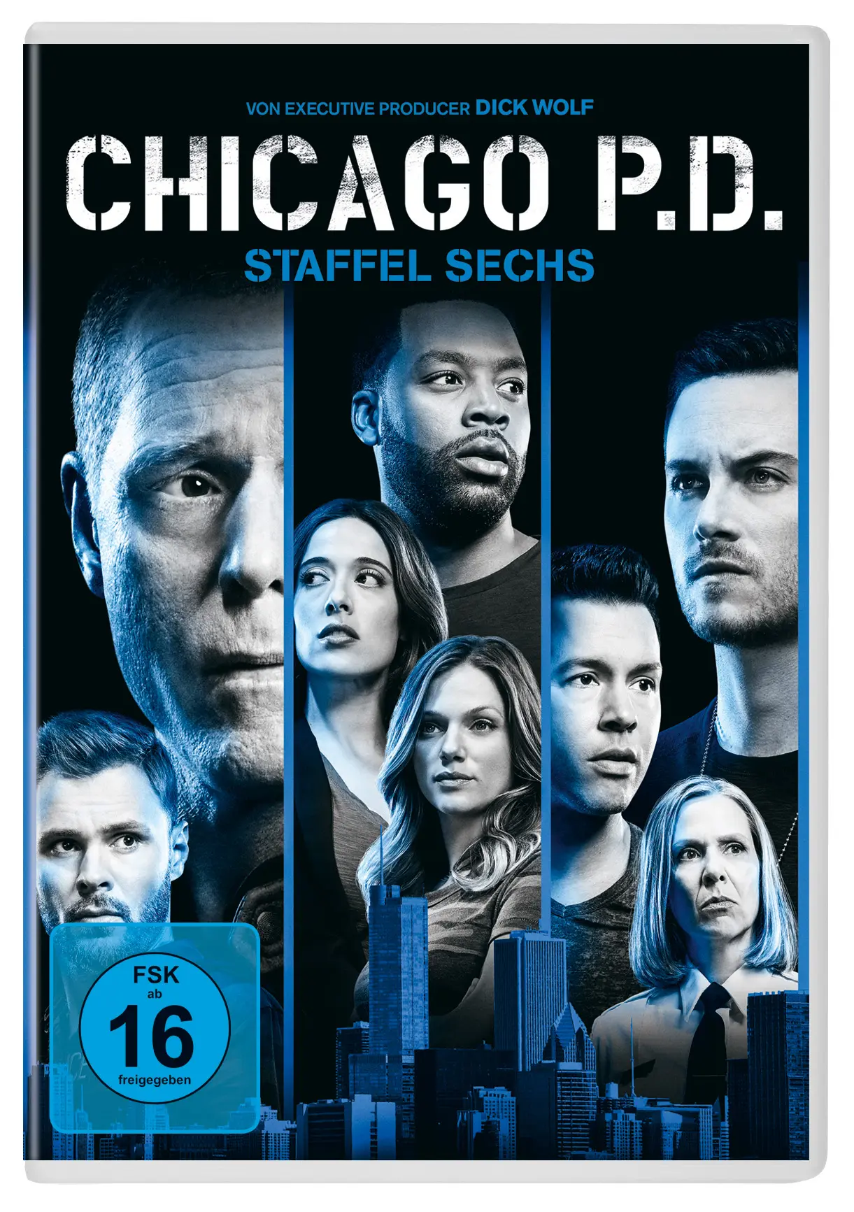 Chicago P.D.: Staffel 6 (DVD)