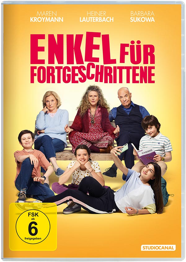 Enkel für Fortgeschrittene (DVD) Cover Werbung, Plakat, Erwachsener, Person, Frau