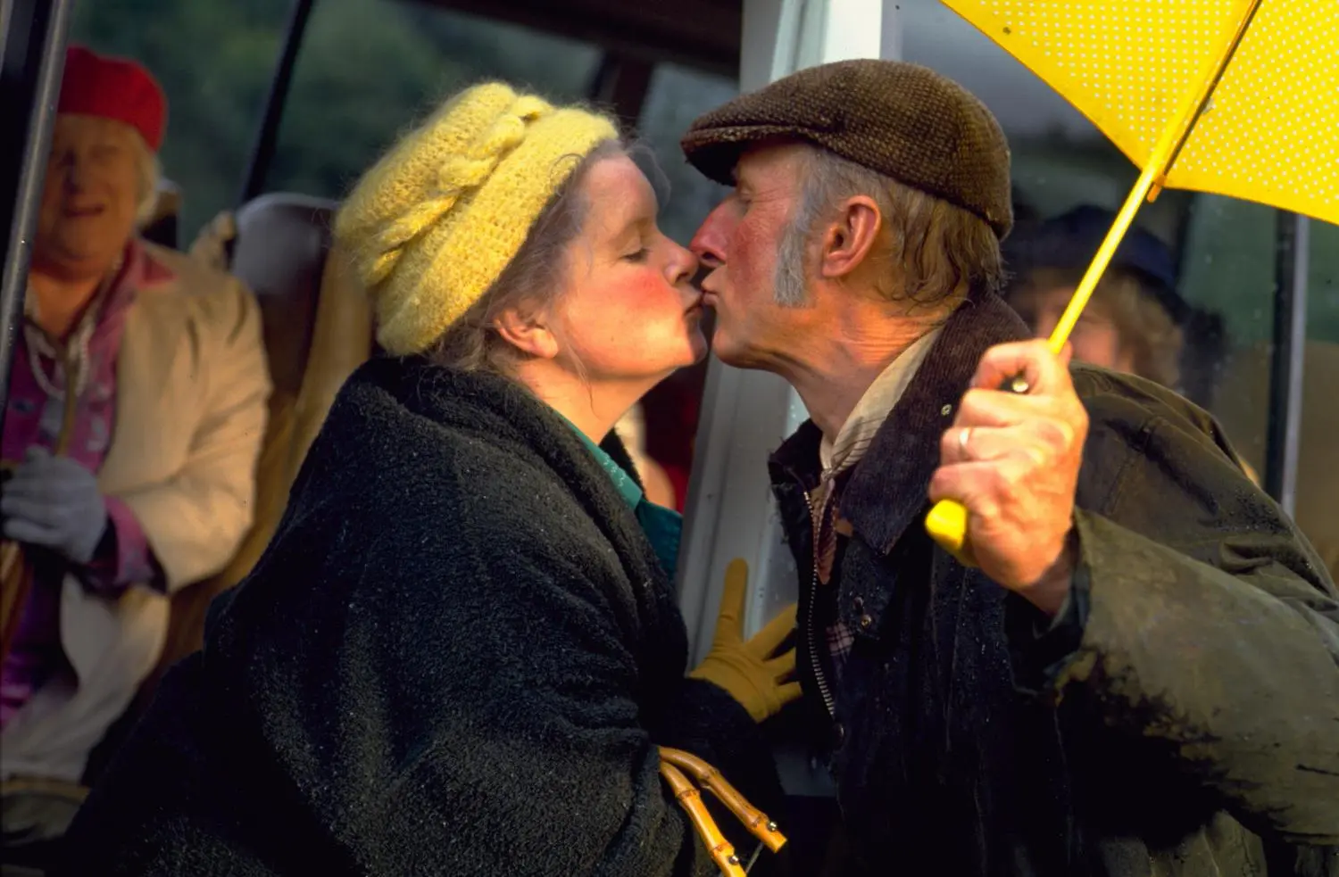 Ein Schweinchen namens Babe (DVD)