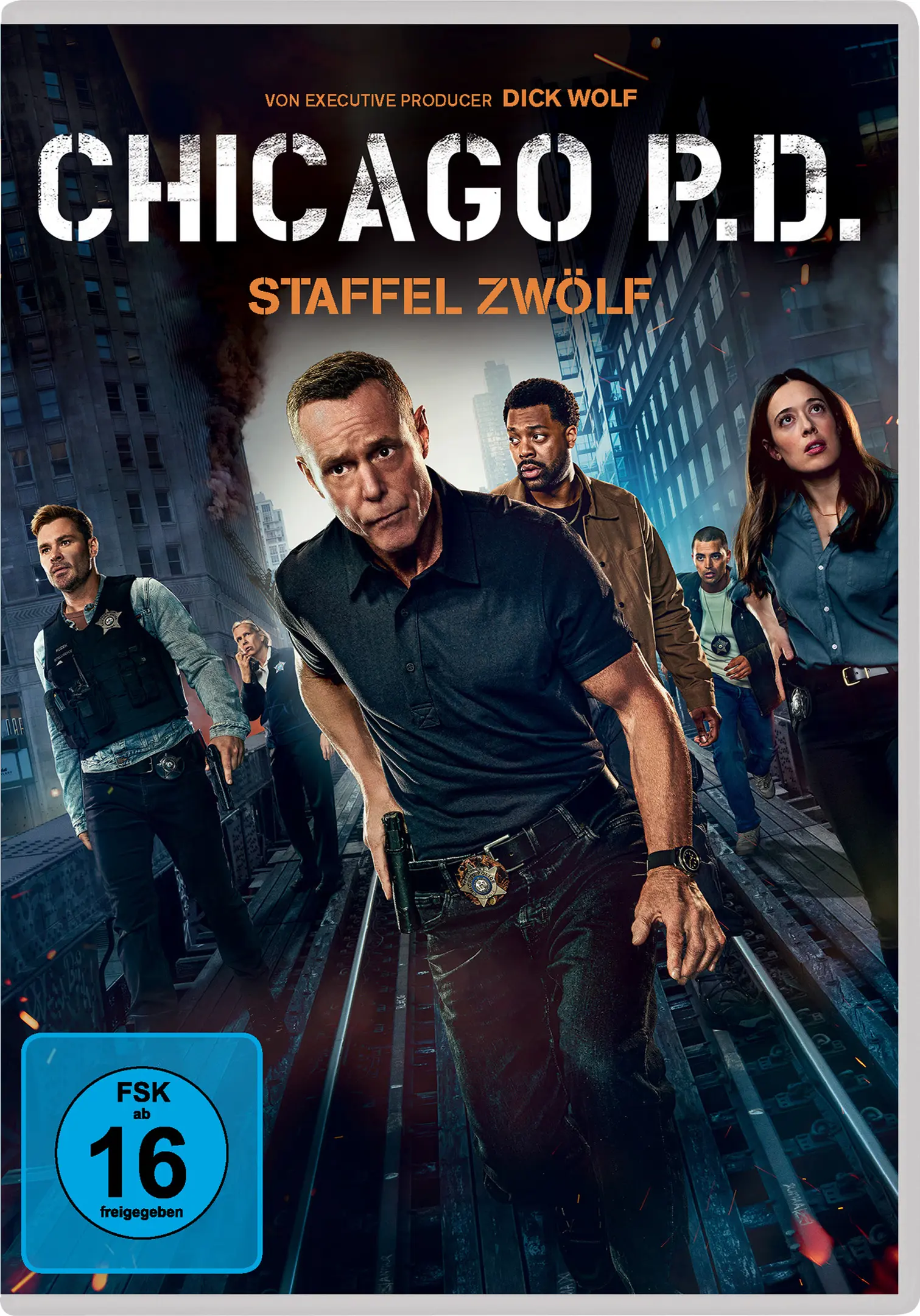 Chicago P.D.: Staffel 12 (5 DVDs)