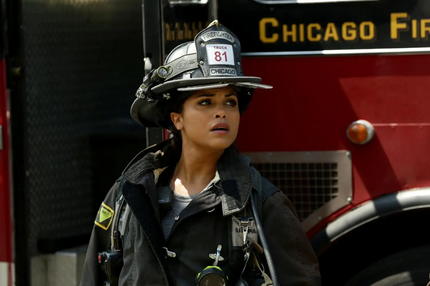 Chicago Fire: Staffel 4 (DVD)