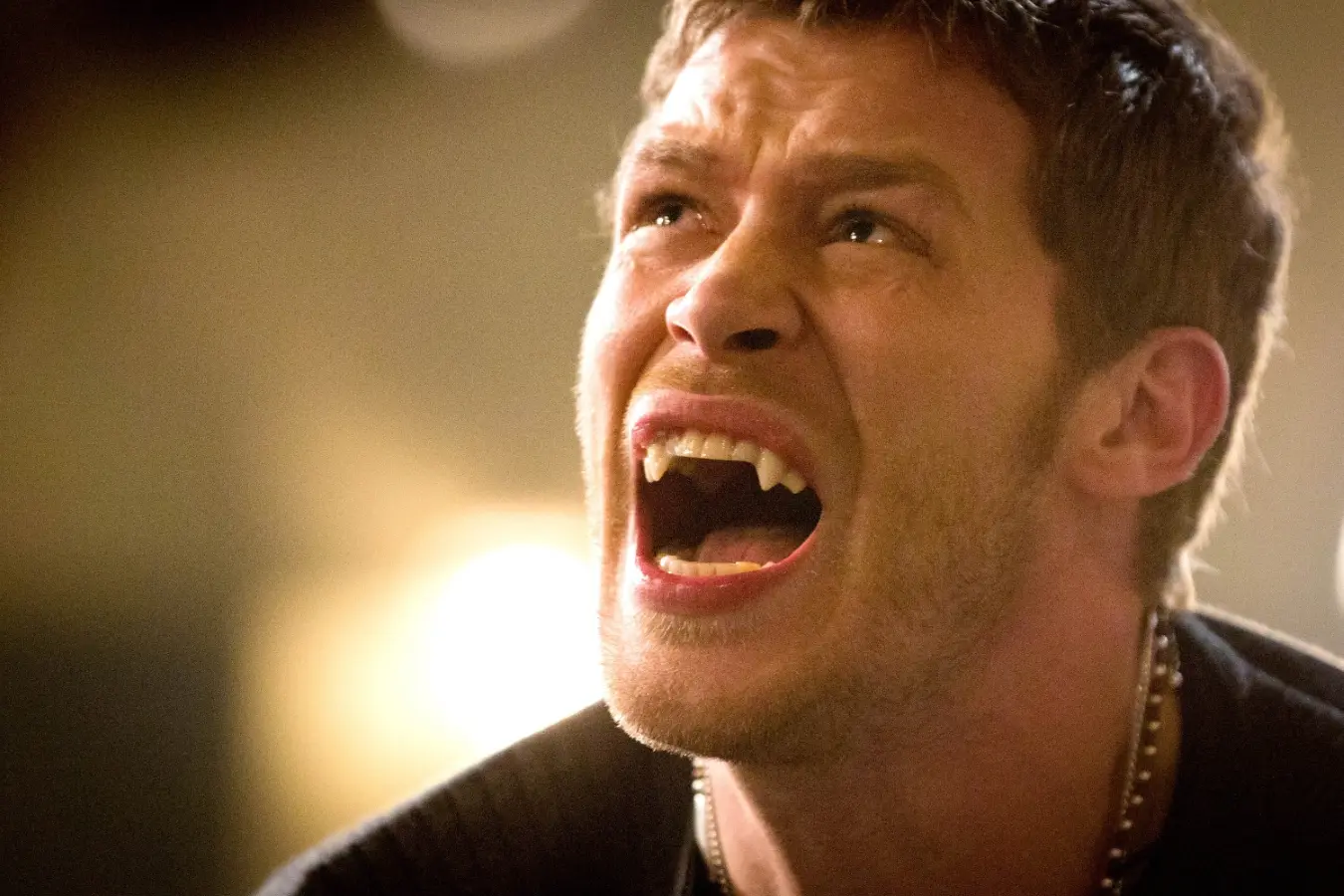 The Originals: Die komplette 1. Staffel (DVD)