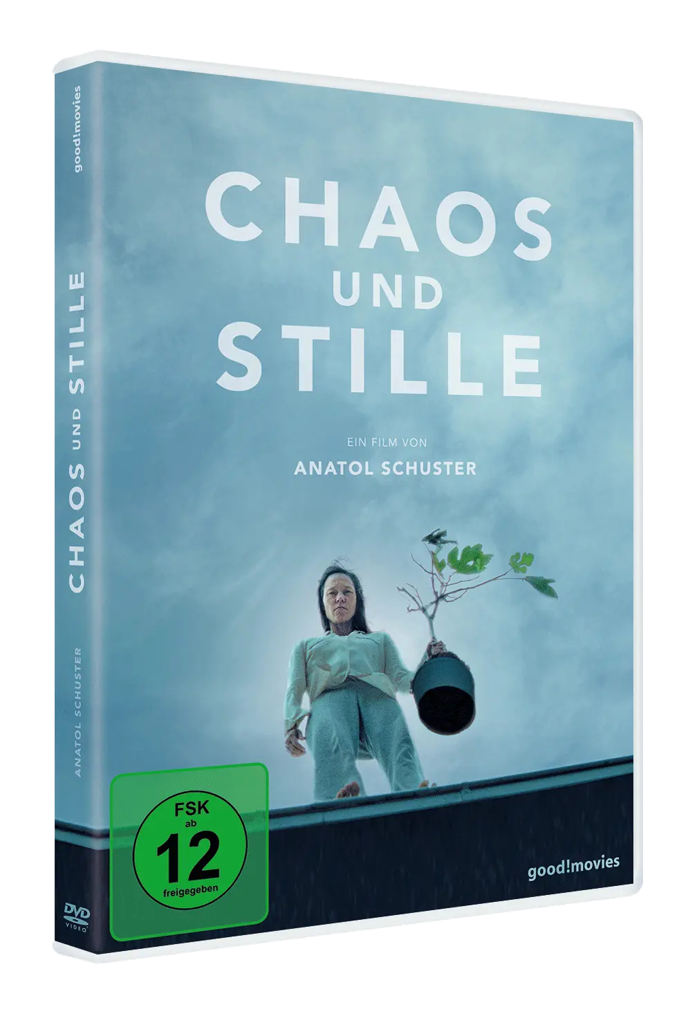 Chaos und Stille (DVD) Chaos und Stille (DVD)