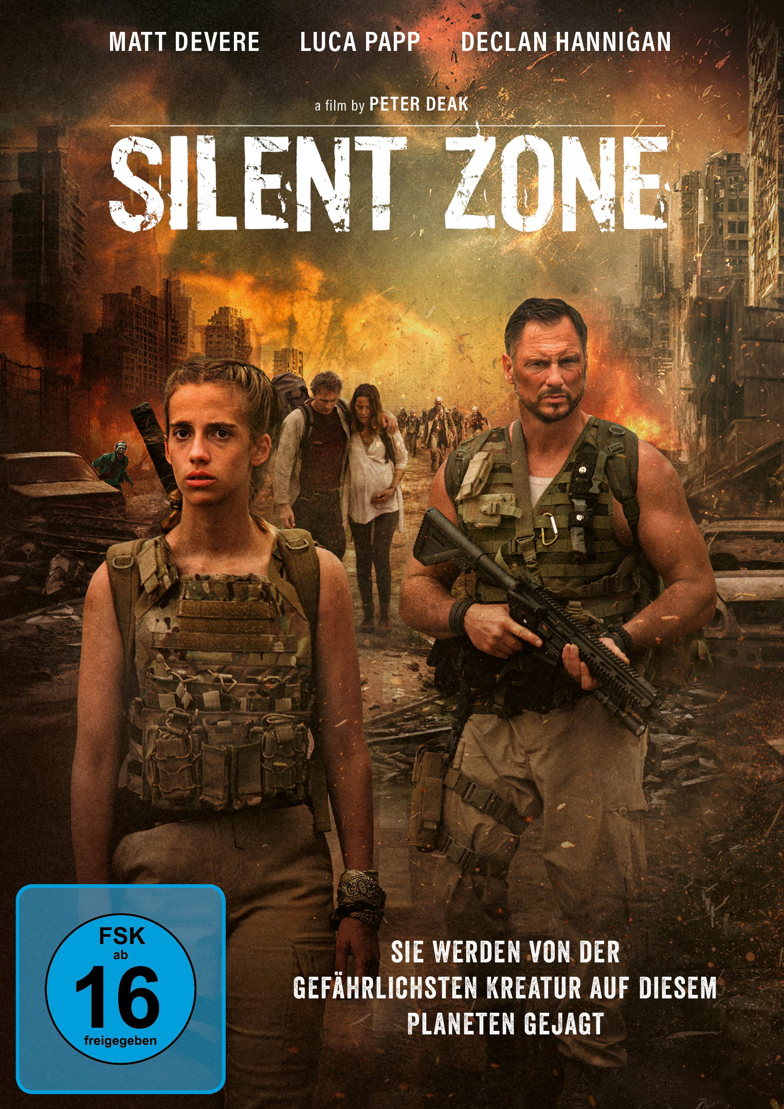 Silent Zone (DVD) Silent Zone (DVD)