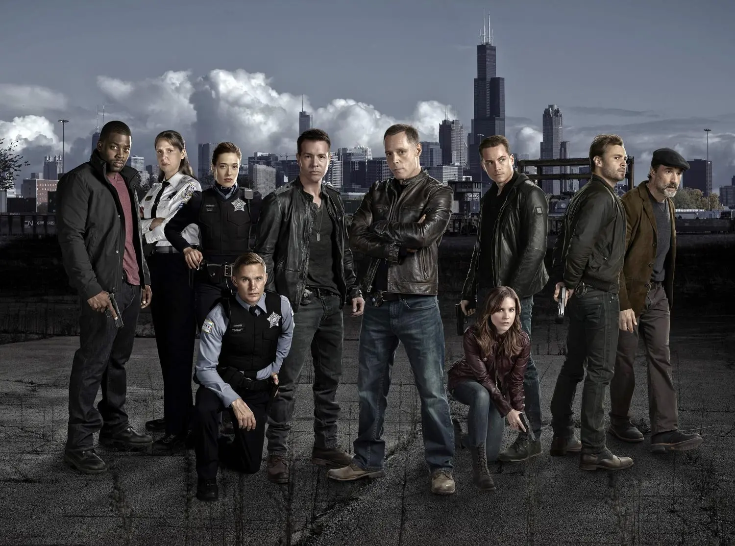 Chicago P.D.: Staffel 1 (DVD)