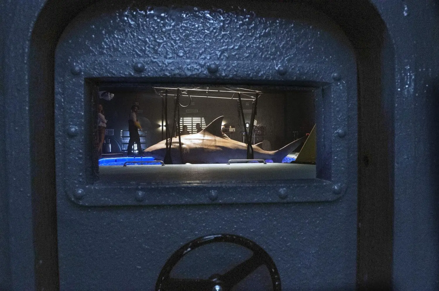 Deep Blue Sea 2 (DVD)