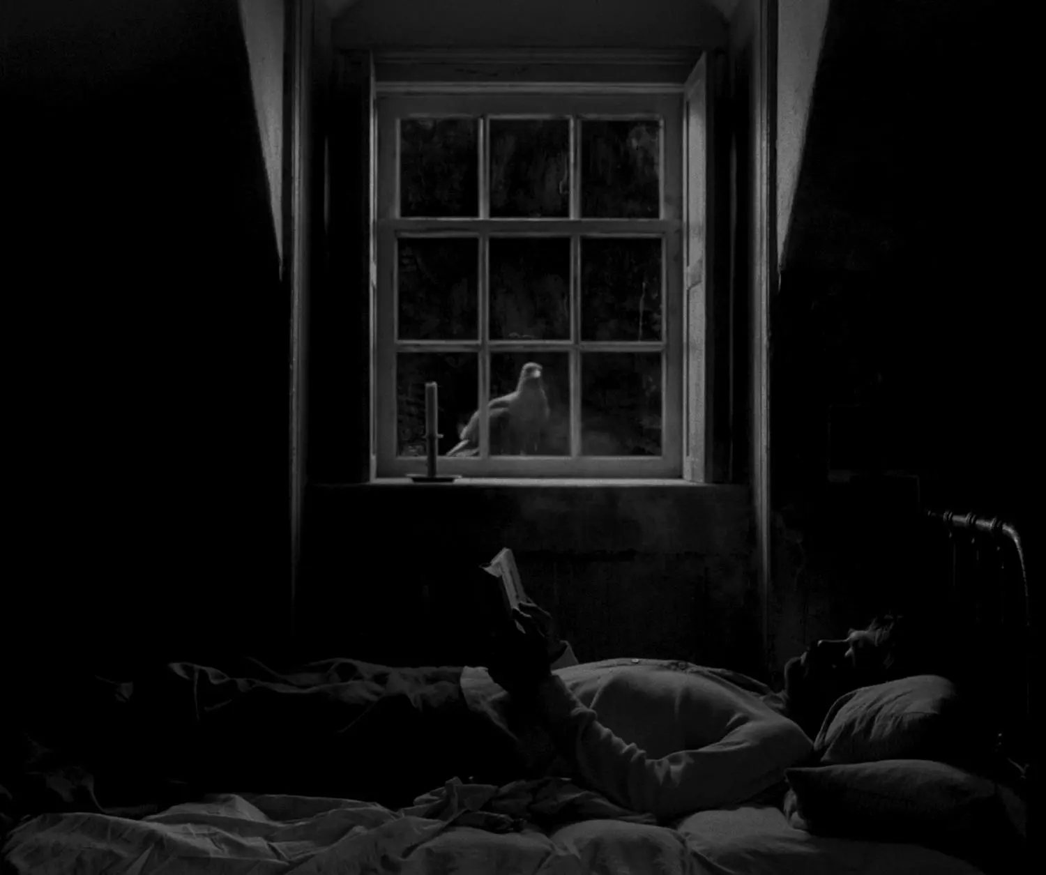 Der Leuchtturm (DVD)