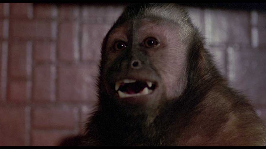 Der Affe im Menschen (Mediabook, Blu-ray+DVD)+Bonus-Blu-ray Image 6