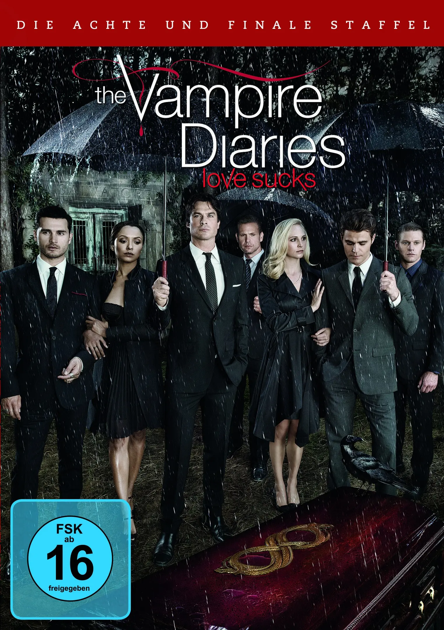 The Vampire Diaries: Die komplette 8. Staffel (DVD)