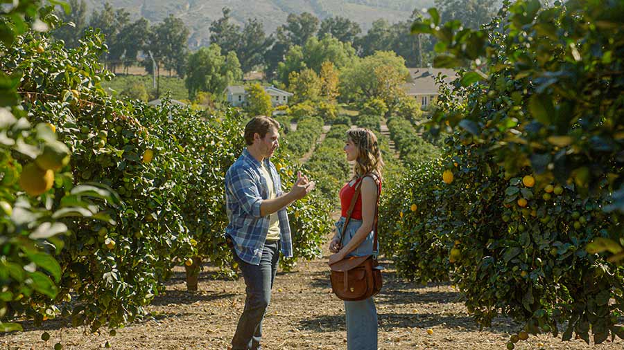 Der magische Zitronenbaum - Wenn Liebe glücklich macht! (DVD) Der magische Zitronenbaum - Wenn Liebe glücklich macht! (DVD)
