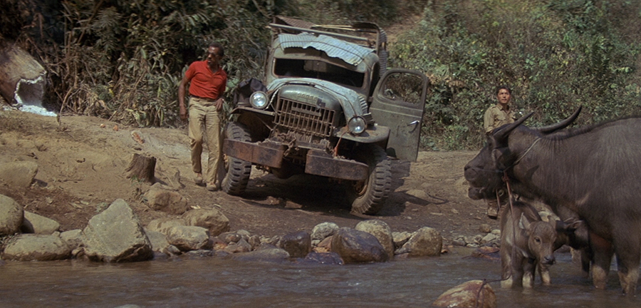 Im Jahr des Drachen (DVD) Im Jahr des Drachen (DVD)