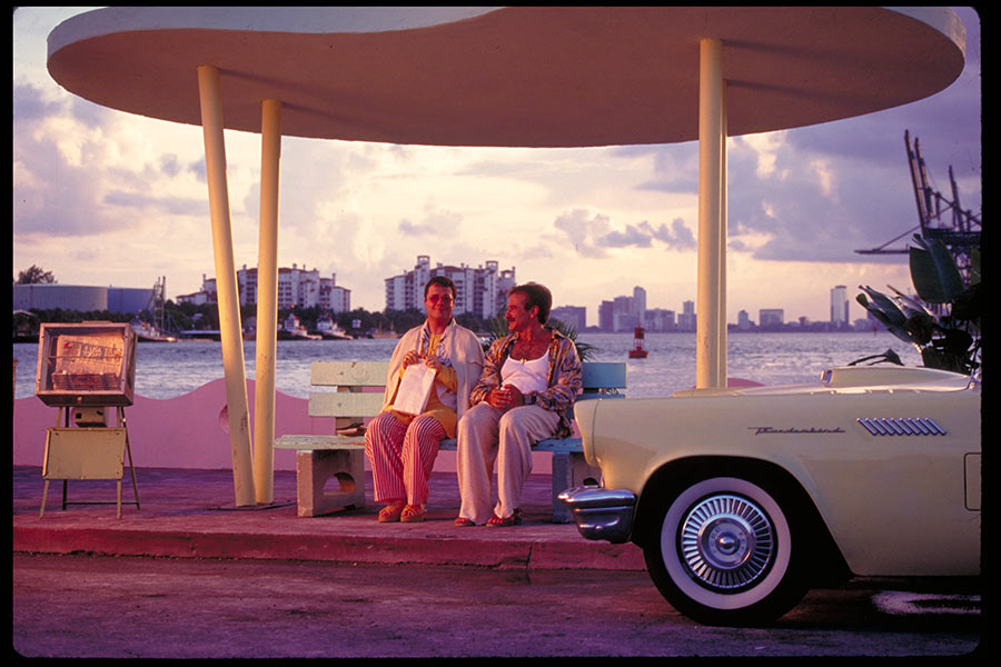 The Birdcage - Ein Paradies für schrille Vögel (Blu-ray) The Birdcage - Ein Paradies für schrille Vögel (Blu-ray)