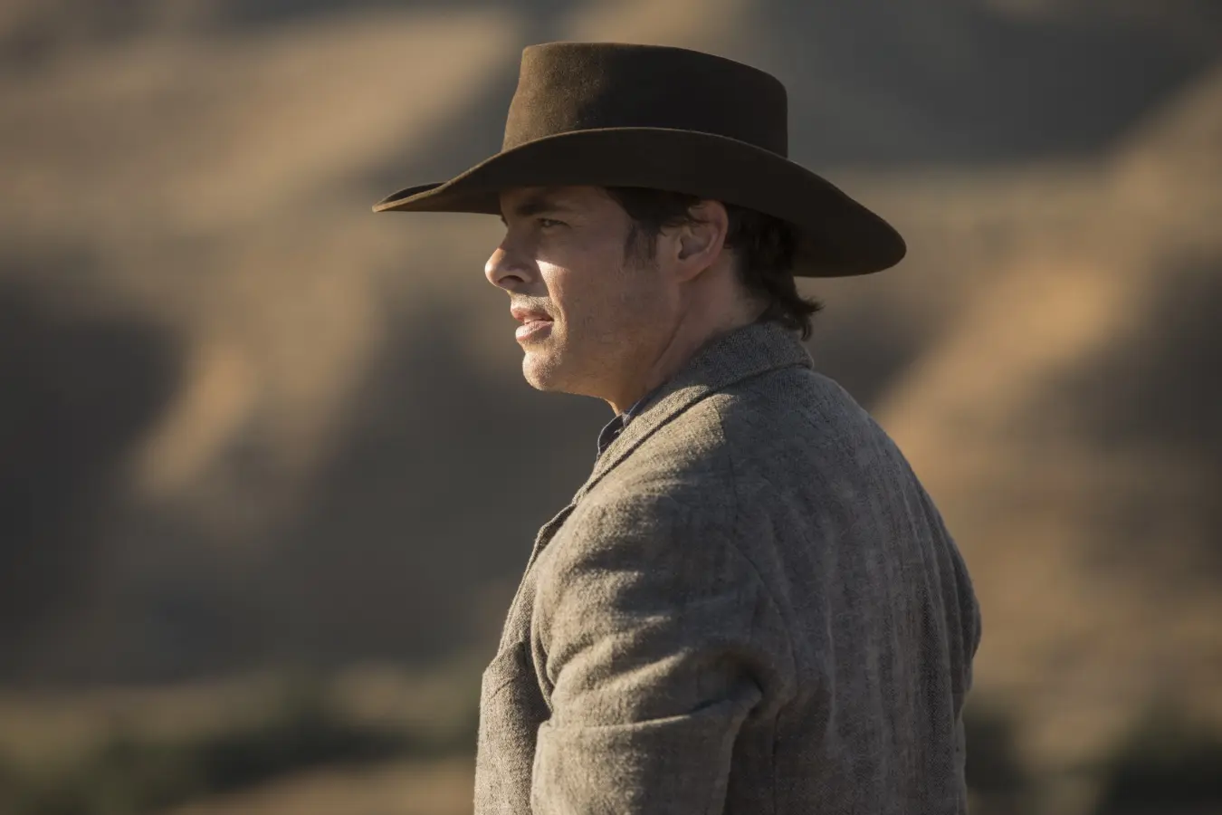 Westworld: Die komplette 2. Staffel (DVD)