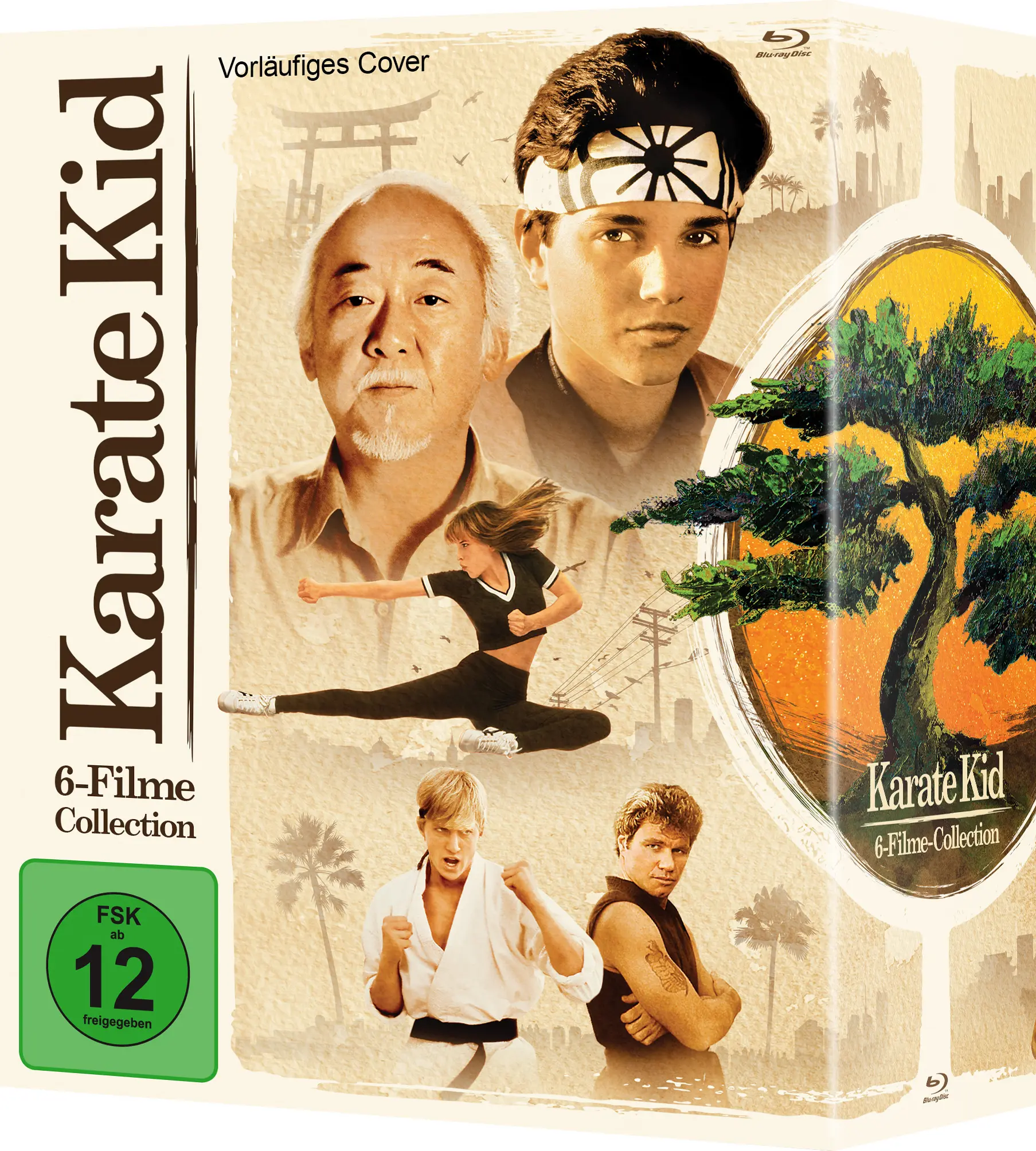 Karate Kid Collection (6 Blu-rays) Karate Kid Collection (6 Blu-rays)