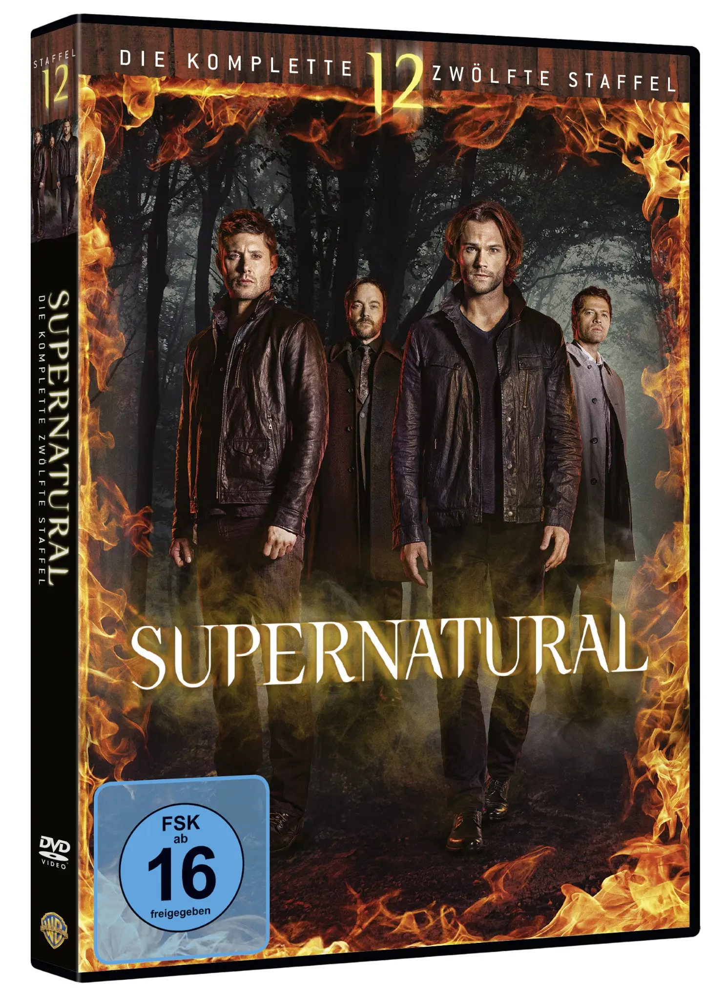 Supernatural: Die komplette 12. Staffel (DVD)