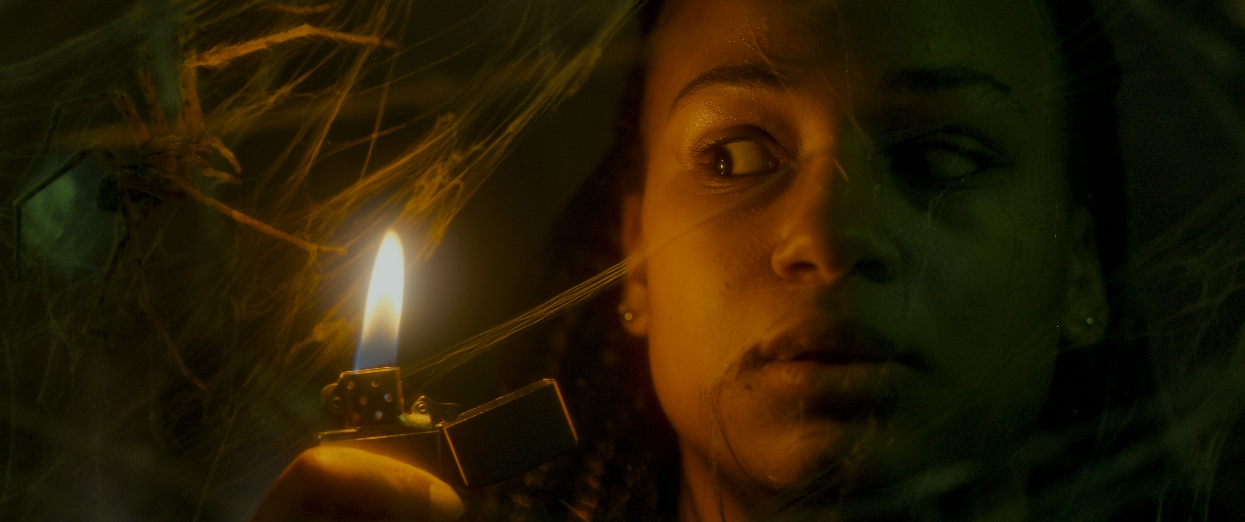 Spiders - Ihr Biss ist der Tod (Mediabook, 4K-UHD+2 Blu-rays) Spiders - Ihr Biss ist der Tod (Mediabook, 4K-UHD+2 Blu-rays)