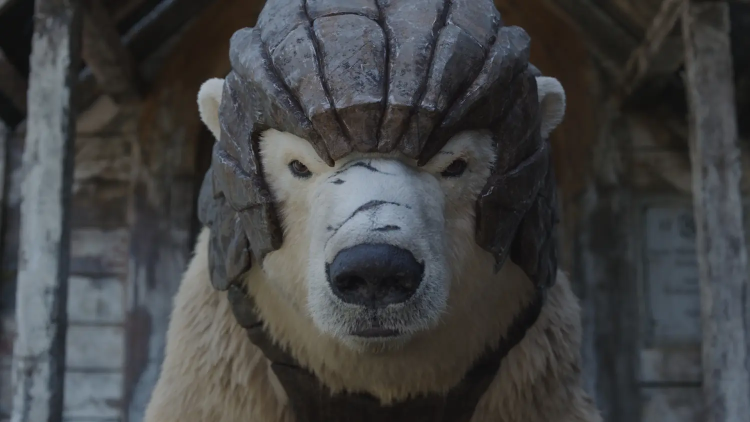 His Dark Materials: Die komplette 1. Staffel (Blu-ray)