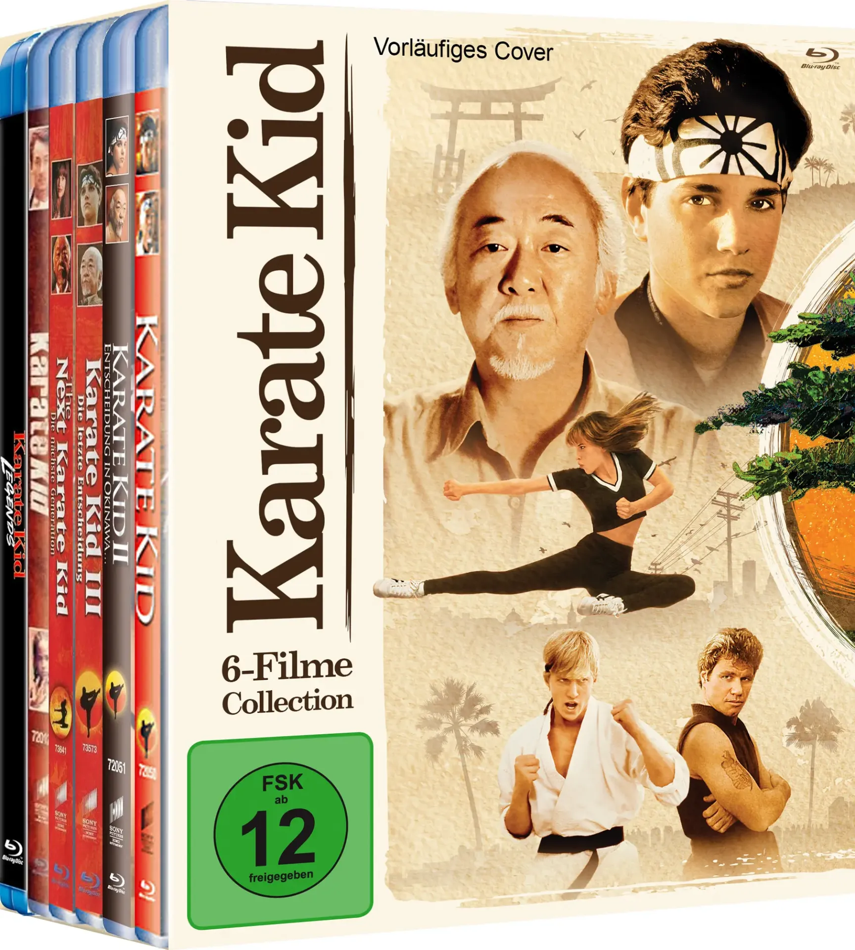 PreCover_KarateKid-6-Filme-Collection_Packshot3D_Version2_1920x1920.webp?ts=1750925539